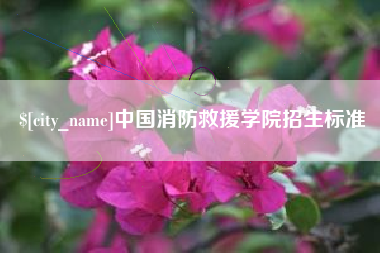 定安中国消防救援学院招生标准