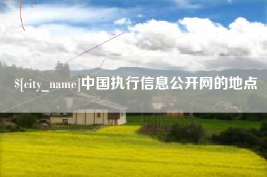 定安中国执行信息公开网的地点