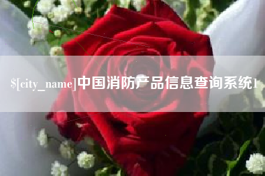 定安中国消防产品信息查询系统1