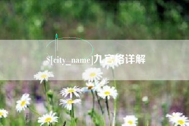 定安九宫格详解