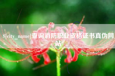 定安查询消防职业资格证书真伪网站