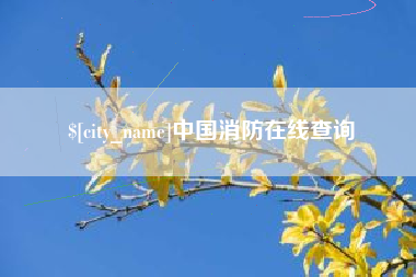 定安中国消防在线查询