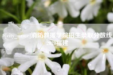 定安消防救援学院招生录取分数线2020福建