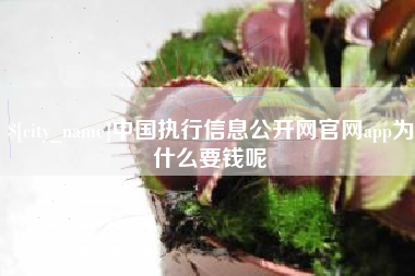 定安中国执行信息公开网官网app为什么要钱呢