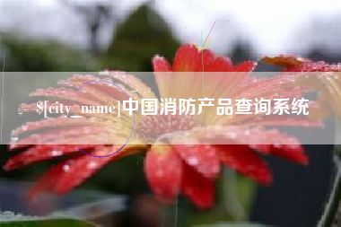 定安中国消防产品查询系统