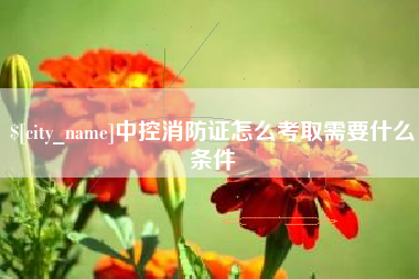定安中控消防证怎么考取需要什么条件