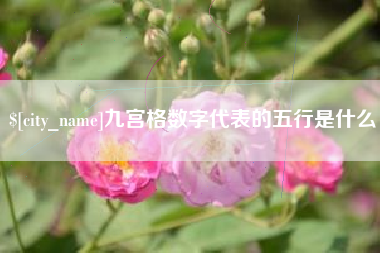 定安九宫格数字代表的五行是什么