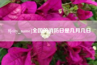 定安全国的消防日是几月几日