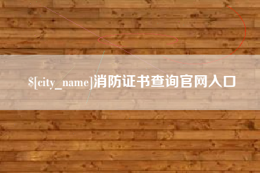 定安消防证书查询官网入口