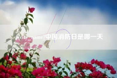 定安中国消防日是哪一天