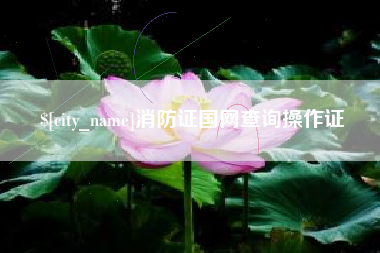 定安消防证国网查询操作证
