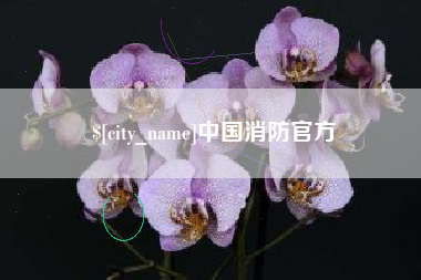 定安中国消防官方