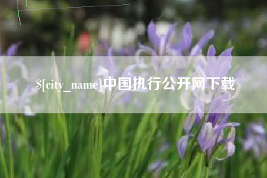 定安中国执行公开网下载