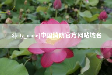 定安中国消防官方网站域名