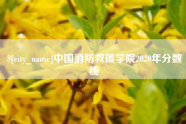 定安中国消防救援学院2020年分数线
