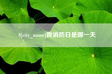 定安我消防日是哪一天