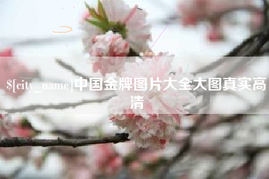 定安中国金牌图片大全大图真实高清