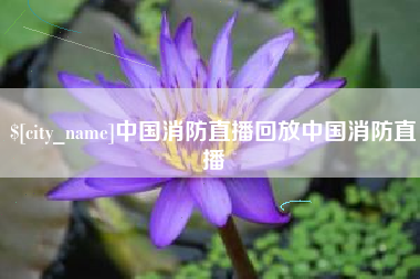 定安中国消防直播回放中国消防直播