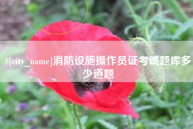 定安消防设施操作员证考试题库多少道题