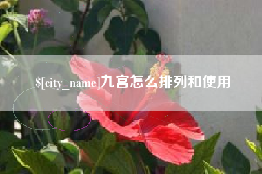 定安九宫怎么排列和使用