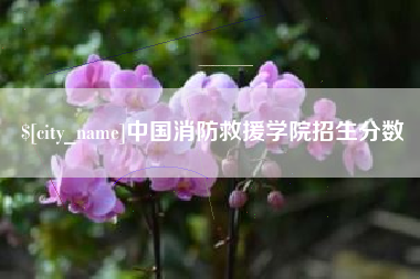 定安中国消防救援学院招生分数