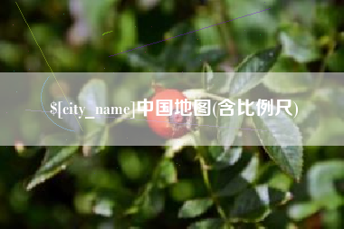 定安中国地图(含比例尺)