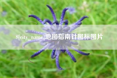 定安地图指南针图标图片