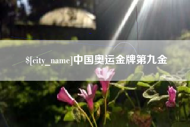 定安中国奥运金牌第九金