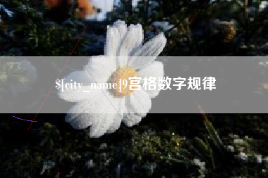 定安9宫格数字规律
