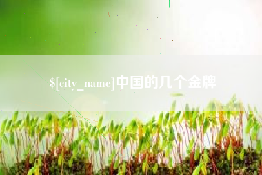 定安中国的几个金牌