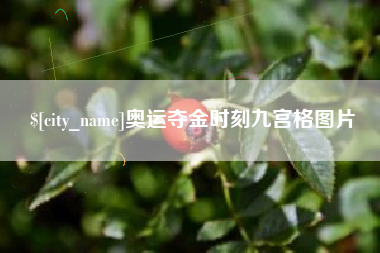定安奥运夺金时刻九宫格图片