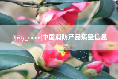 定安中国消防产品质量信息