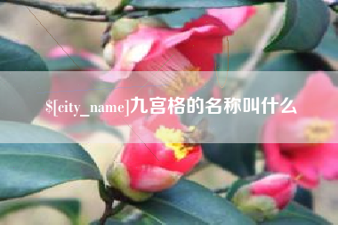 定安九宫格的名称叫什么