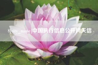 定安中国执行信息公开网失信