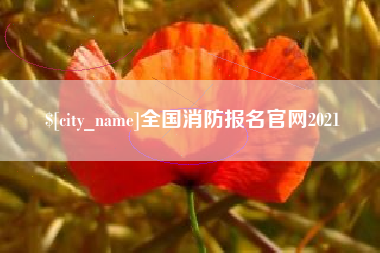 定安全国消防报名官网2021