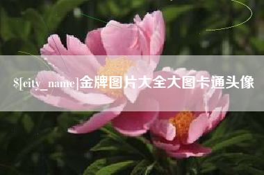 定安金牌图片大全大图卡通头像