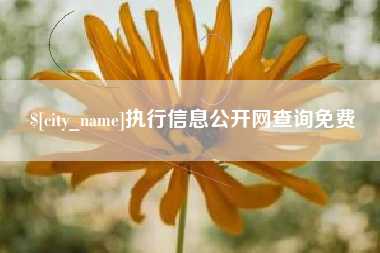 定安执行信息公开网查询免费