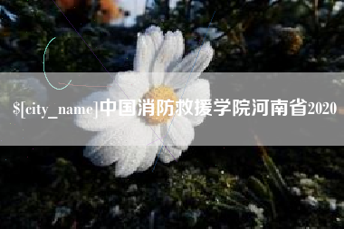 定安中国消防救援学院河南省2020